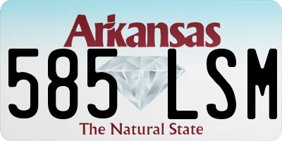 AR license plate 585LSM