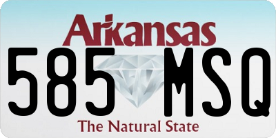 AR license plate 585MSQ