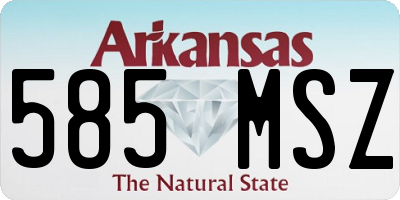 AR license plate 585MSZ
