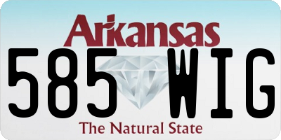 AR license plate 585WIG