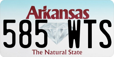 AR license plate 585WTS