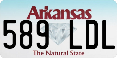 AR license plate 589LDL
