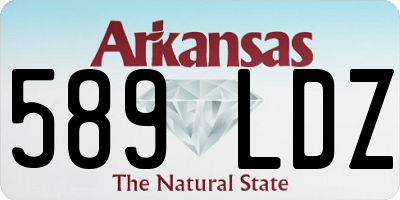 AR license plate 589LDZ