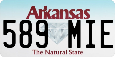 AR license plate 589MIE