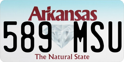 AR license plate 589MSU