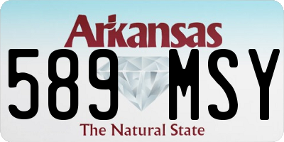 AR license plate 589MSY