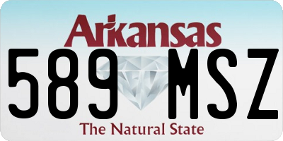 AR license plate 589MSZ