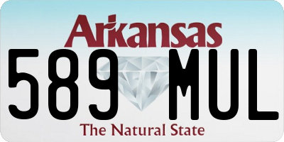 AR license plate 589MUL
