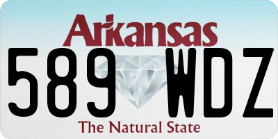 AR license plate 589WDZ