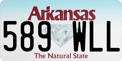 AR license plate 589WLL