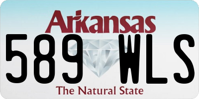 AR license plate 589WLS