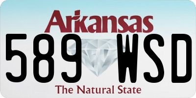 AR license plate 589WSD