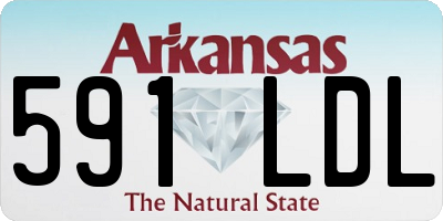 AR license plate 591LDL