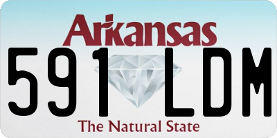AR license plate 591LDM
