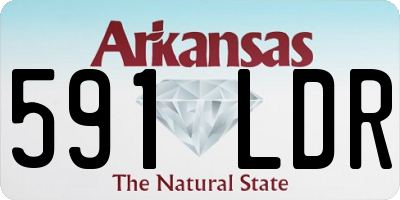 AR license plate 591LDR