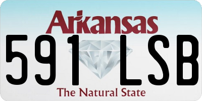 AR license plate 591LSB