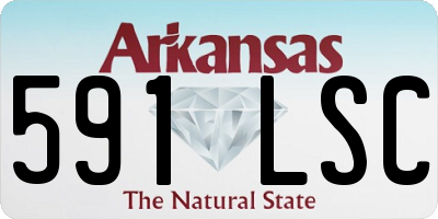 AR license plate 591LSC
