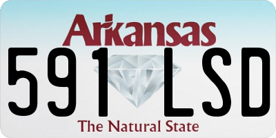 AR license plate 591LSD
