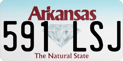 AR license plate 591LSJ