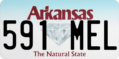 AR license plate 591MEL