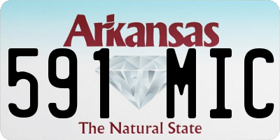 AR license plate 591MIC