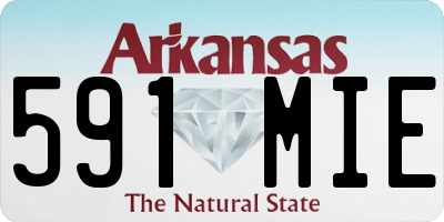 AR license plate 591MIE