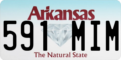 AR license plate 591MIM