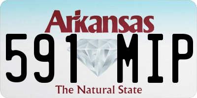 AR license plate 591MIP