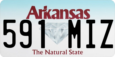 AR license plate 591MIZ
