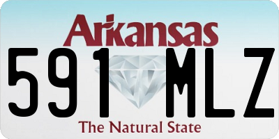 AR license plate 591MLZ