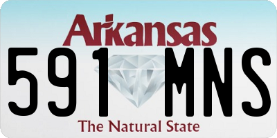 AR license plate 591MNS