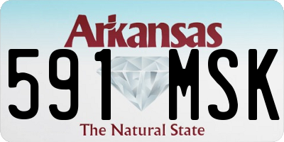 AR license plate 591MSK