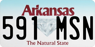 AR license plate 591MSN