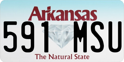AR license plate 591MSU
