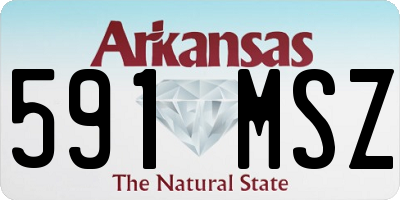 AR license plate 591MSZ