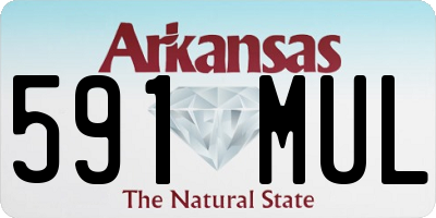 AR license plate 591MUL