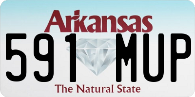 AR license plate 591MUP
