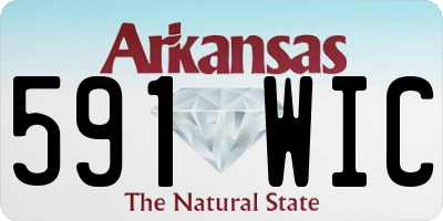 AR license plate 591WIC