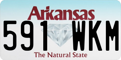 AR license plate 591WKM