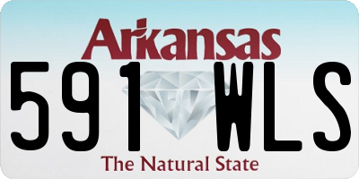 AR license plate 591WLS