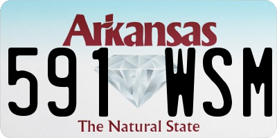AR license plate 591WSM