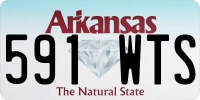 AR license plate 591WTS