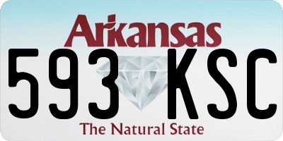AR license plate 593KSC
