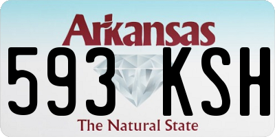 AR license plate 593KSH