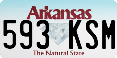 AR license plate 593KSM