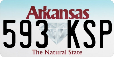 AR license plate 593KSP