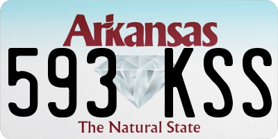 AR license plate 593KSS