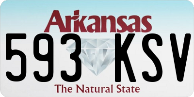 AR license plate 593KSV