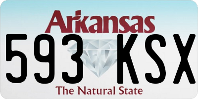 AR license plate 593KSX