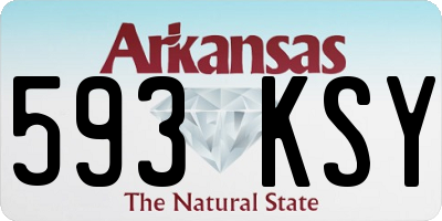 AR license plate 593KSY